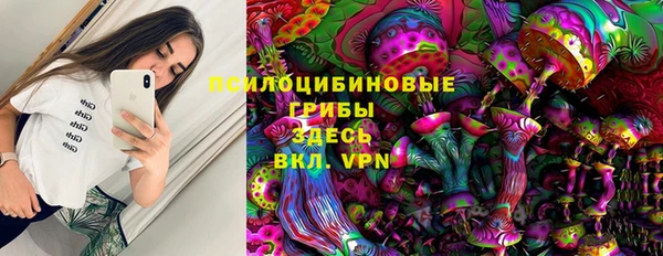 твердый Арсеньев