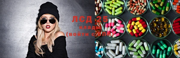 твердый Арсеньев