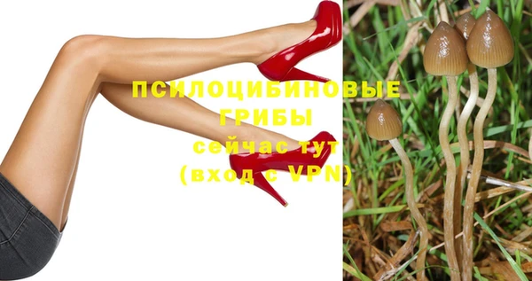 каннабис Аркадак